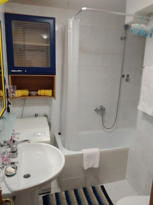 Alex Apartment Zemun Eksteriør billede