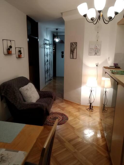 Alex Apartment Zemun Eksteriør billede
